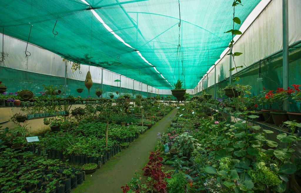 Pine Borough Inn Kodaikanal Luaran gambar